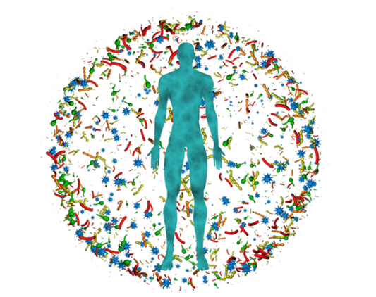 Microbiomul intestinal si boli asociate