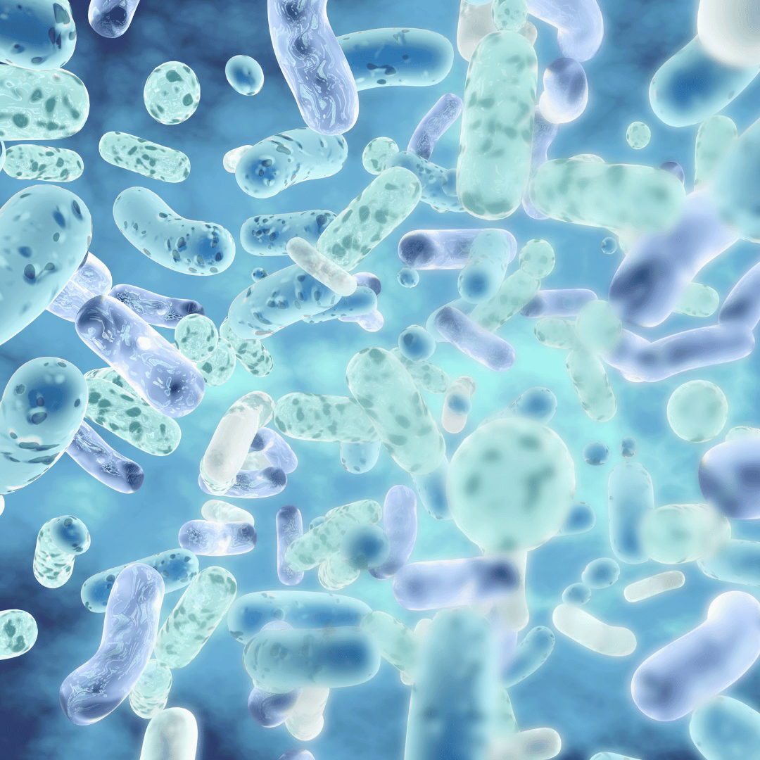 Disbioza intestinala