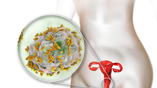 Test microbiom vaginal -ADN