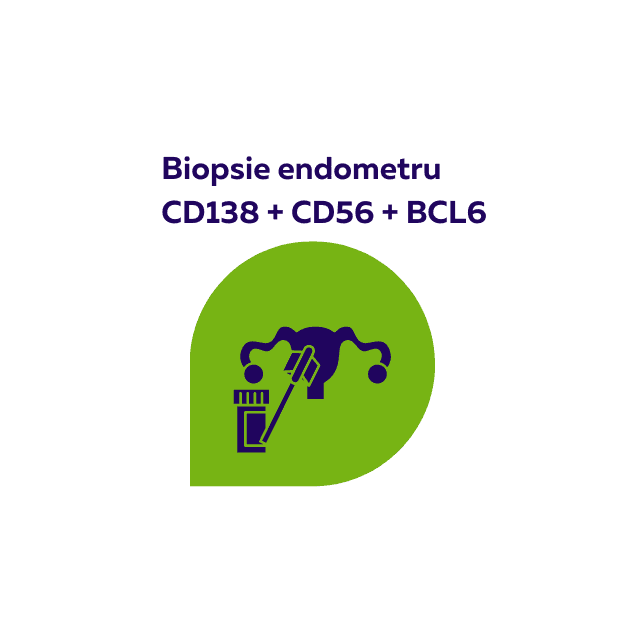 Biopsie endometru fertilitateCD138, CD56, BCL6