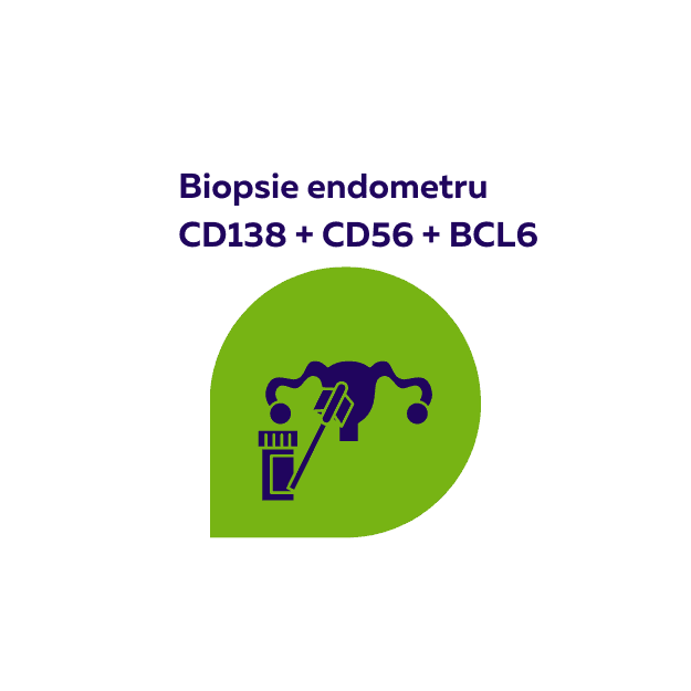 Biopsie endometru fertilitateCD138, CD56, BCL6