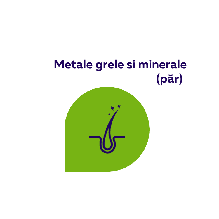 Test metale grele in par