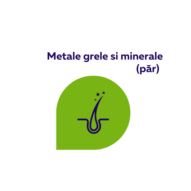 Test metale grele in par