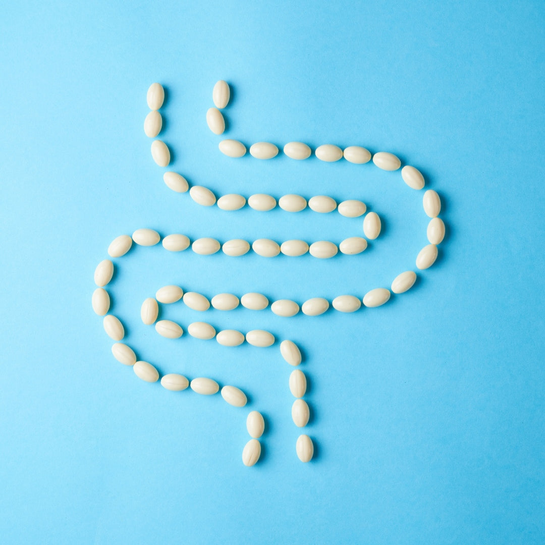 Disbioza intestinala. Simptome si diagnostic.