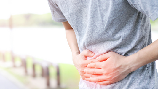 Digestia si microbiota