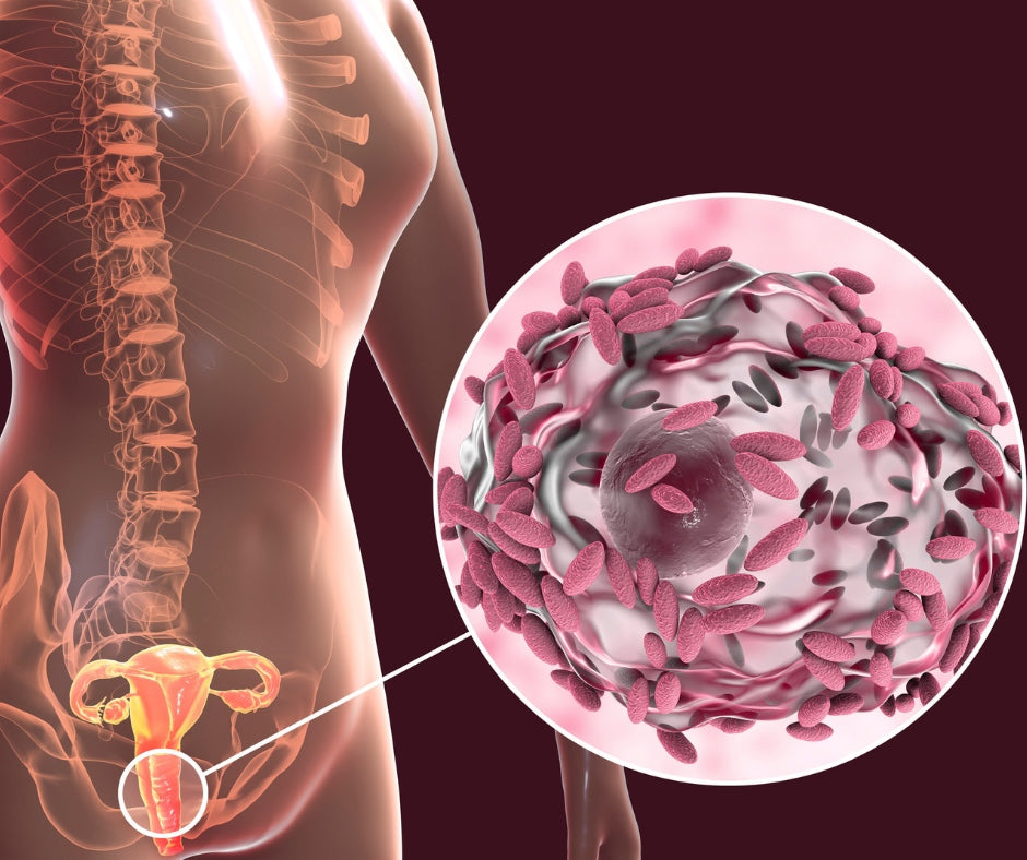 Microbiomul vaginal. Prietenul tau nevazut care iti mentine sanatatea intima