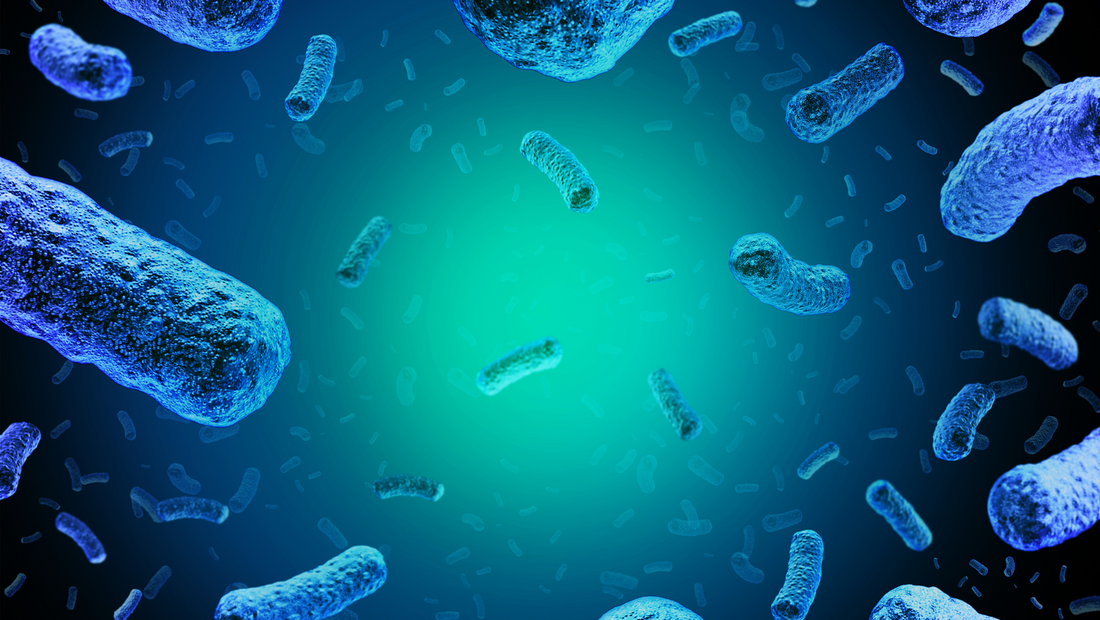  test microbiom intestinal