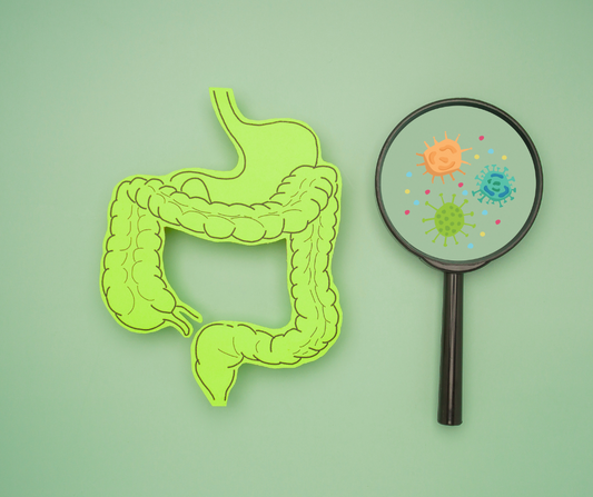 Microbiomul intestinal si disbioza