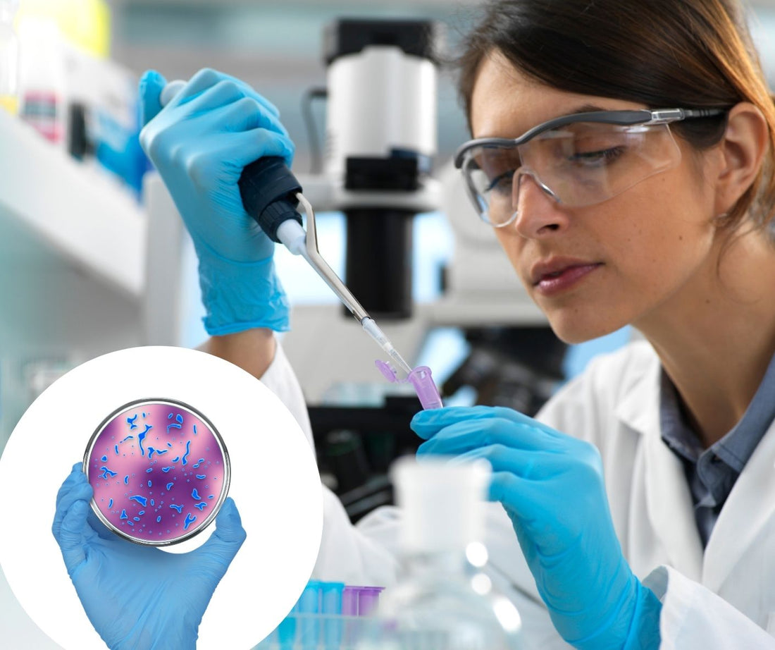 Test Microbiom prin Secvențiere Metagenomică vs. Coprocultură și PCR: Care oferă imaginea completă?