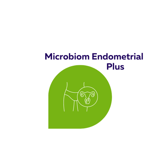 Microbiom Endometrial + biopsie CD138