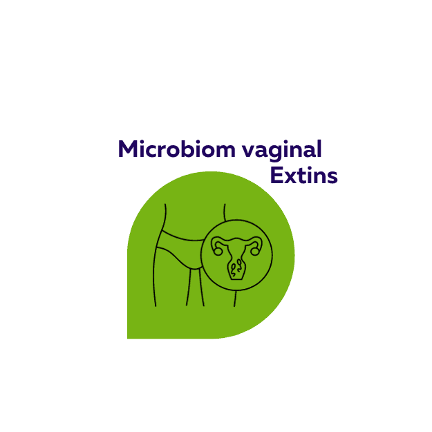 Disbioza /Microbiom vaginal Extins