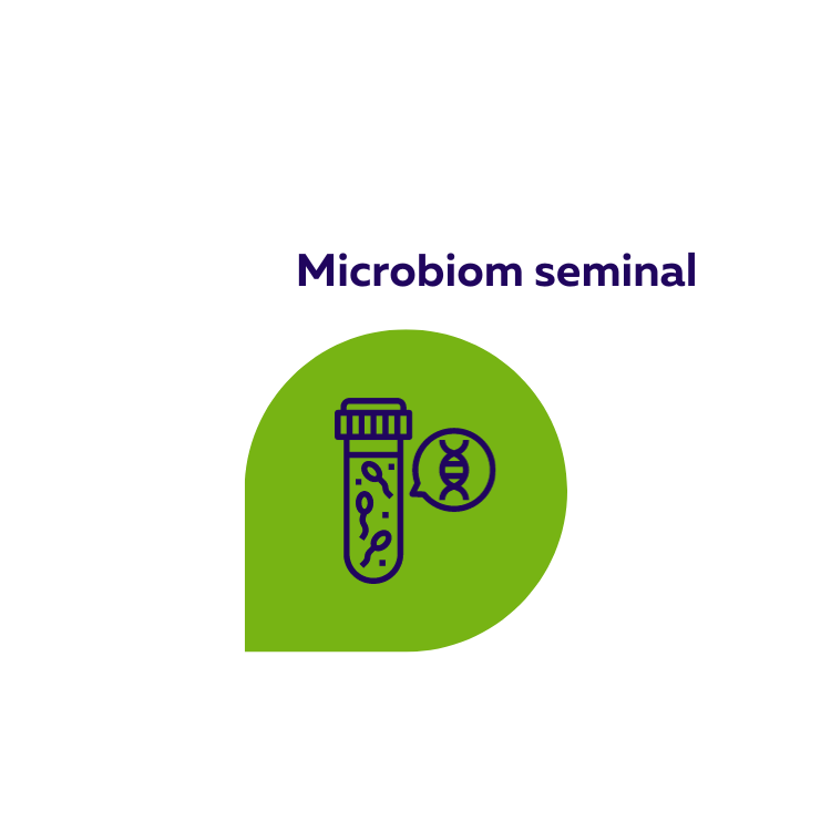 Test microbiota seminal. Spermotest