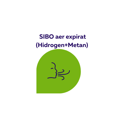 Test SIBO- Hidrogen si Metan
