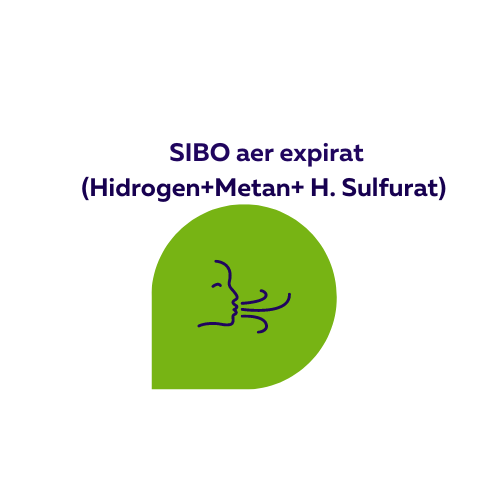 Test SIBO Hidrogen+ Metan+ Hidrogen Sulfurat